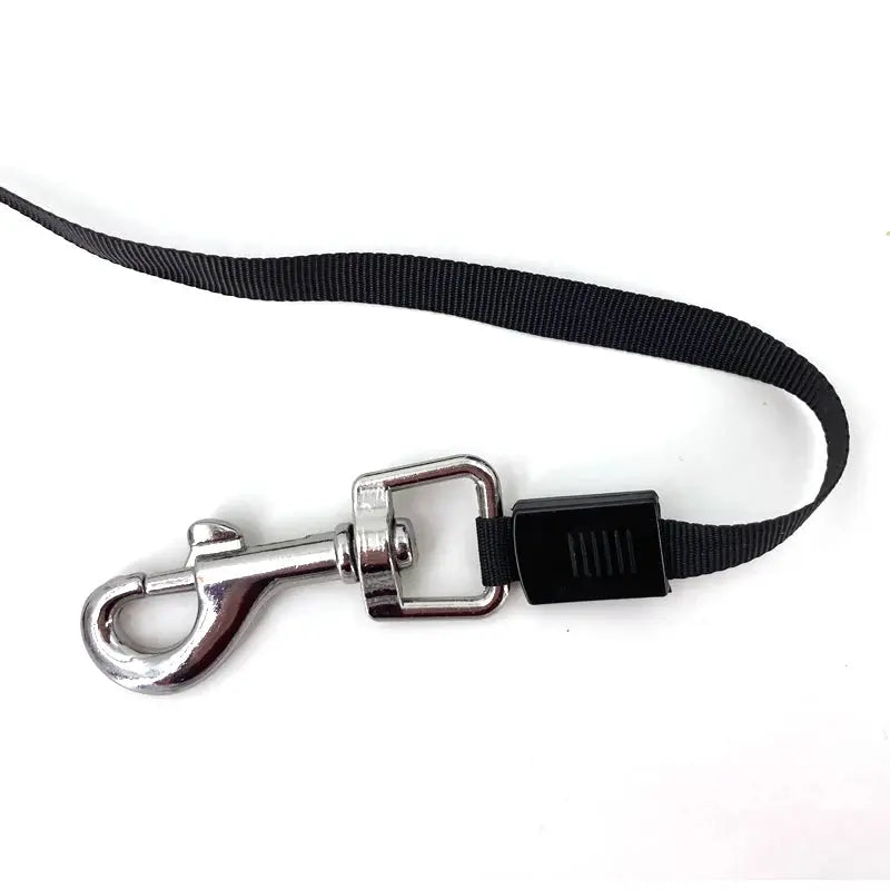3M/5M Retractable Dog Leash Automatic Flexible Dog Puppy Cat Traction Rope Belt Dog Leash for Small Medium Dogs Pet Products NIDOU - Accessoires/ Produits amis4pattes