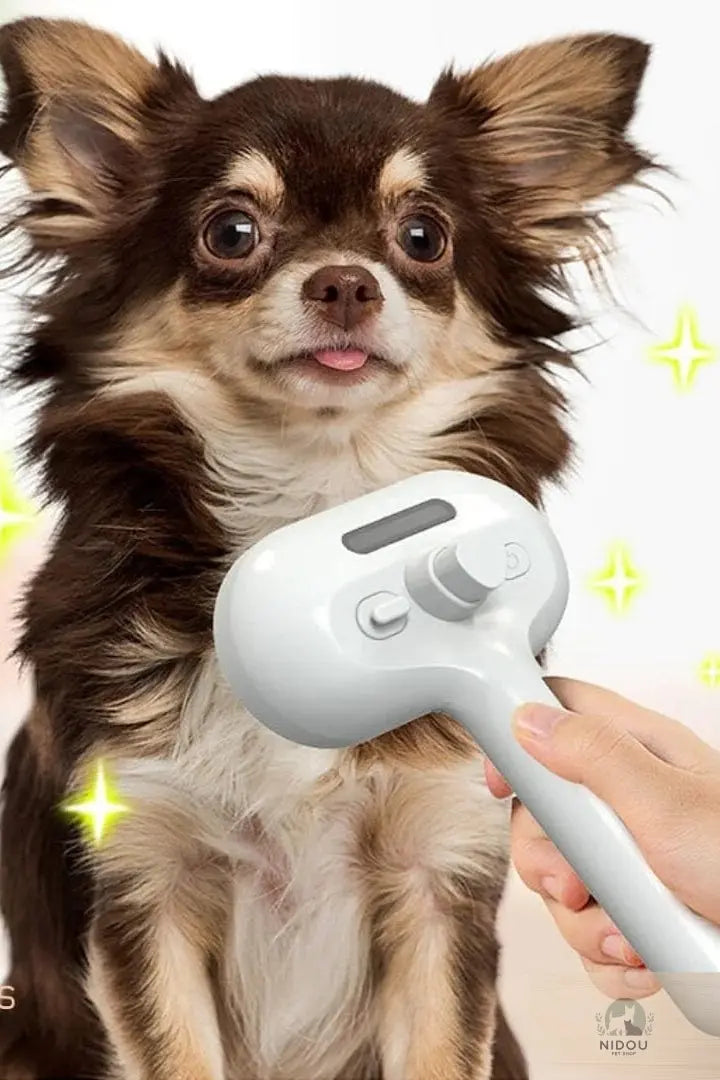 Brosse Chien et Chat à vapeur NIDOU