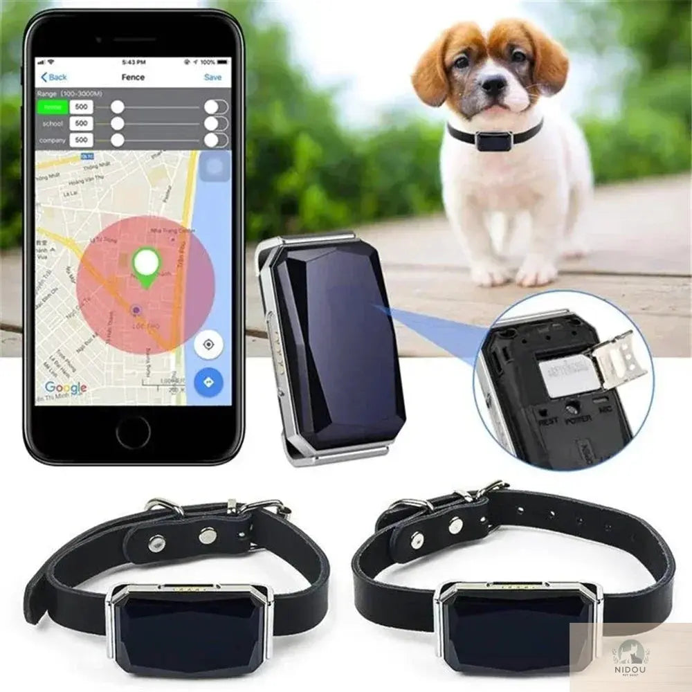 Collier GPS G12 pour animaux NIDOU - Vente Accessoires Animaux