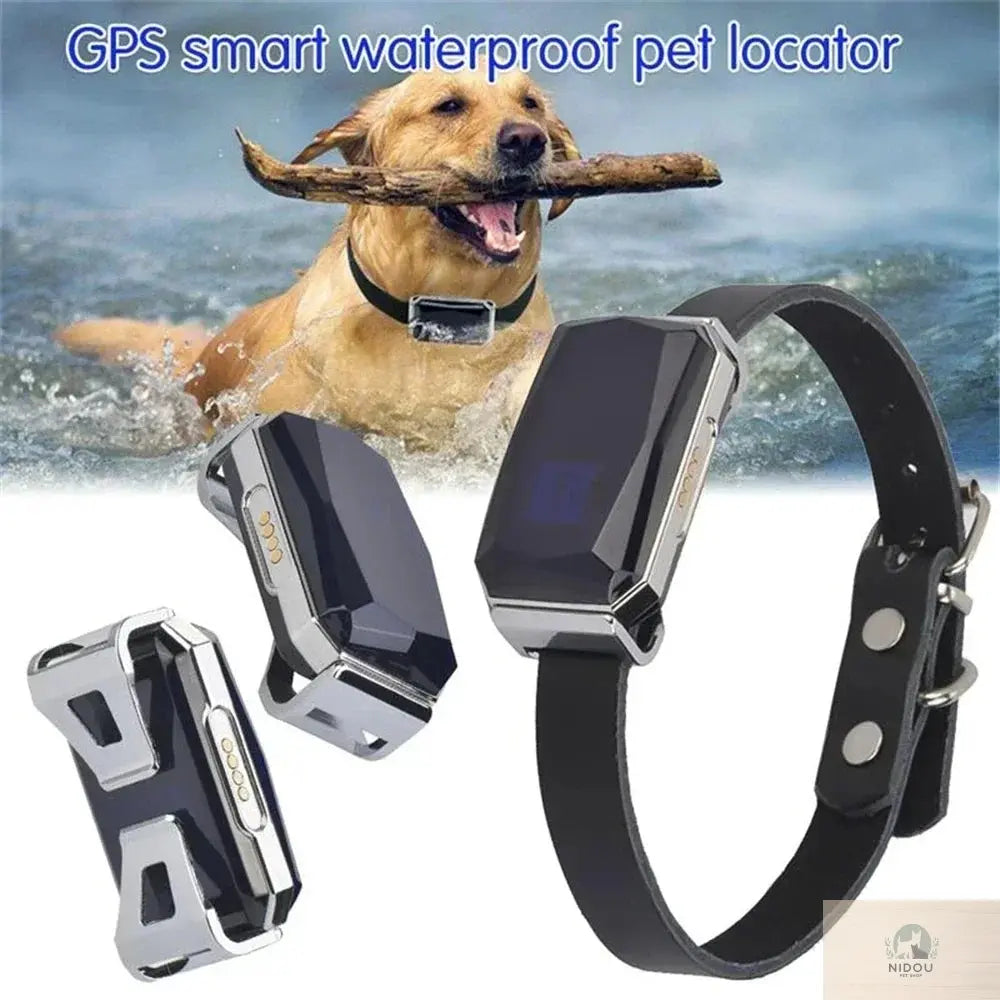 Collier GPS G12 pour animaux NIDOU - Vente Accessoires Animaux