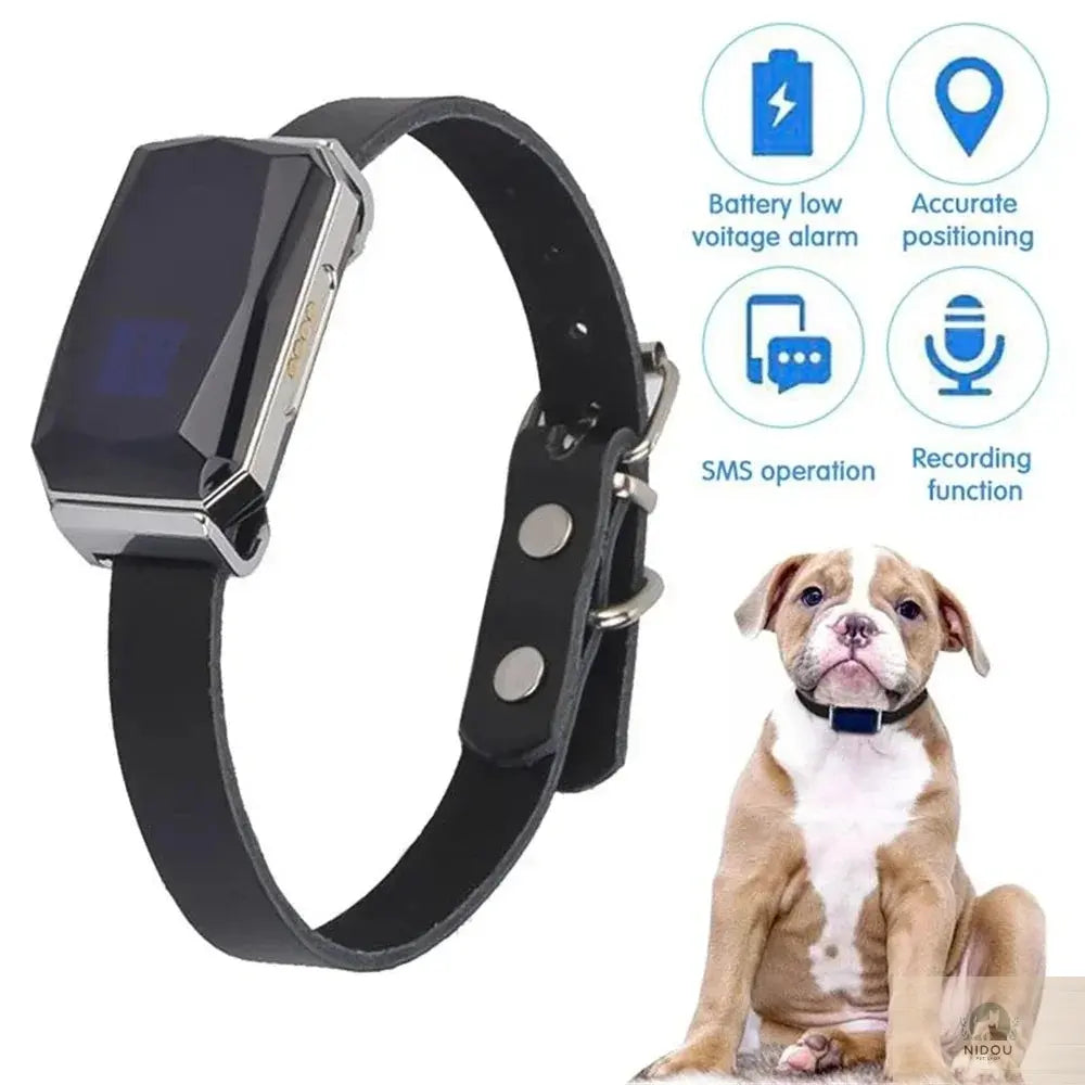 Collier GPS G12 pour animaux NIDOU - Vente Accessoires Animaux