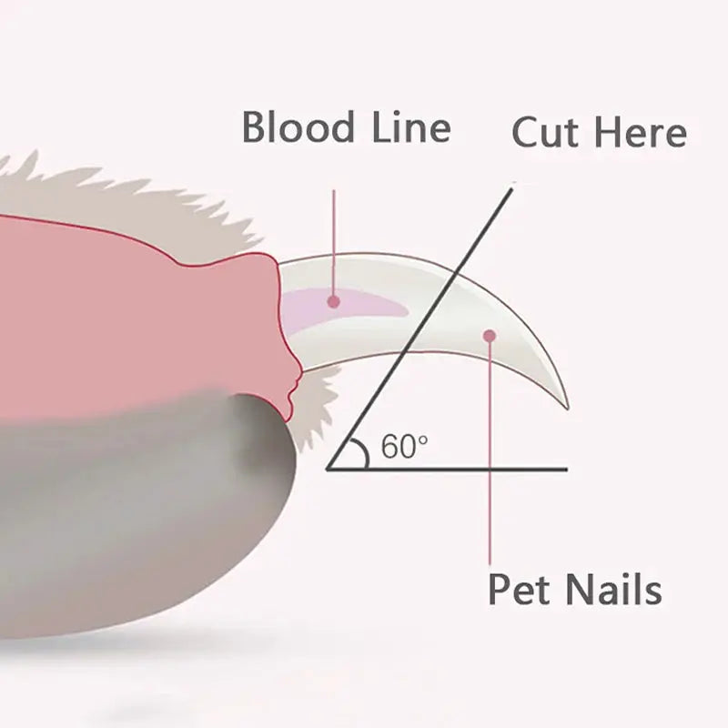 Coupe-griffes professionnel pour animaux avec lumière - NIDOU