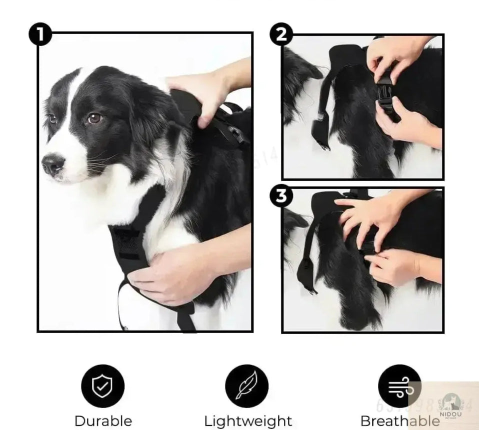 Dog Harness with Leash Retractable,Adjustable for Large Dogs with Integrated Leash and Anti Slip Soft Handle,Comfortable NIDOU - Accessoires/ Produits amis4pattes