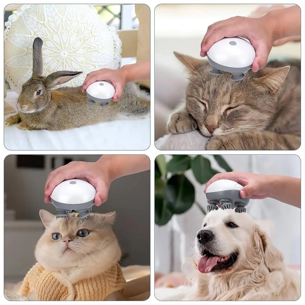 Masseur Électrique pour Animaux NIDOU - Accessoires/ Produits amis4pattes