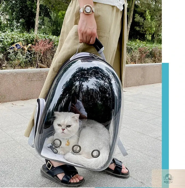Pet Cat Carrying Bag Space Pet Backpacks Breathable Portable Transparent Backpack Puppy Dog Transport Carrier Space Capsule Bags NIDOU - Accessoires/ Produits amis4pattes