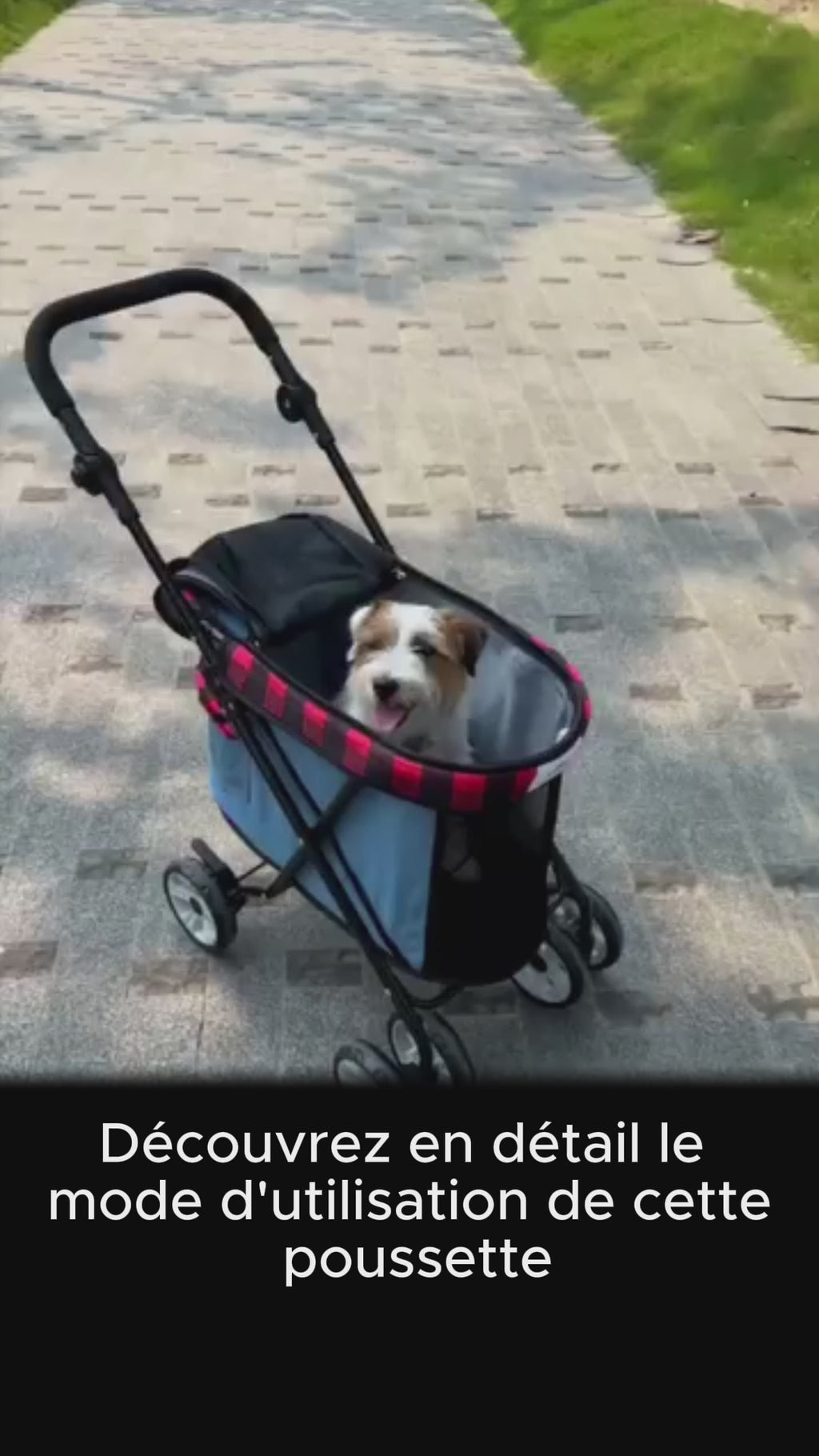 Poussette pour chien et chat